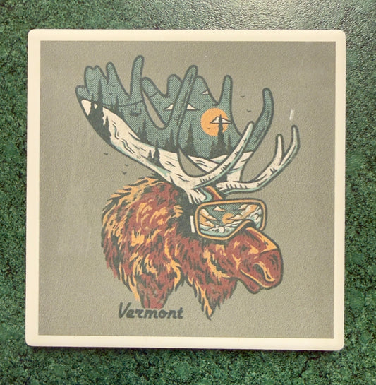 Vermont - Ski Moose Coaster