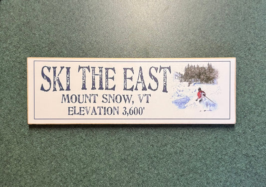 Ski The East Magnet