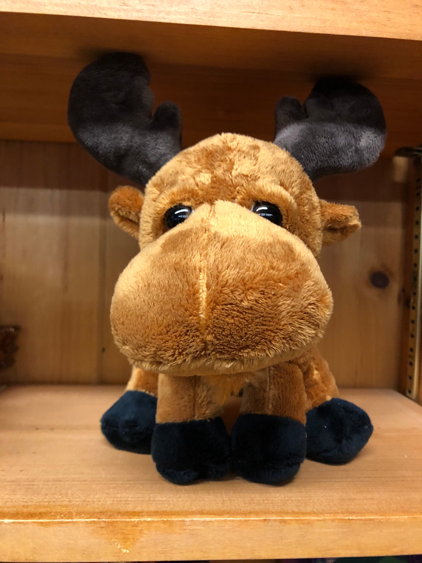 Stuffed Animal Baby Moose